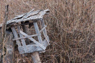 Eski ahşap tipik kuş yuvası.