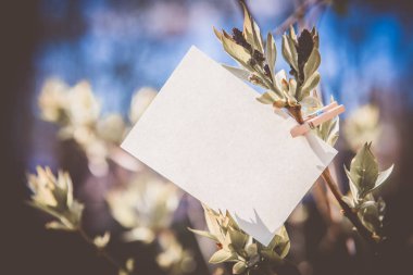 Yeşil yaprakları arka plan üzerinde beyaz kart