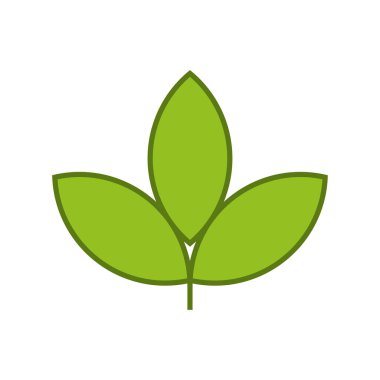 Gold leaf natural and organic ornament symbol