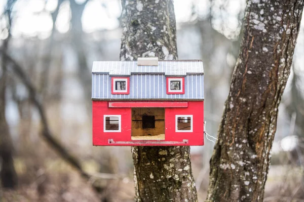 İlkbahar ormanındaki ağaçtaki kırmızı kuş evi. — Stok fotoğraf