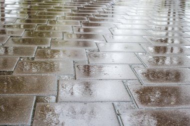 Islak asfalt su birikintileriyle kaplı.