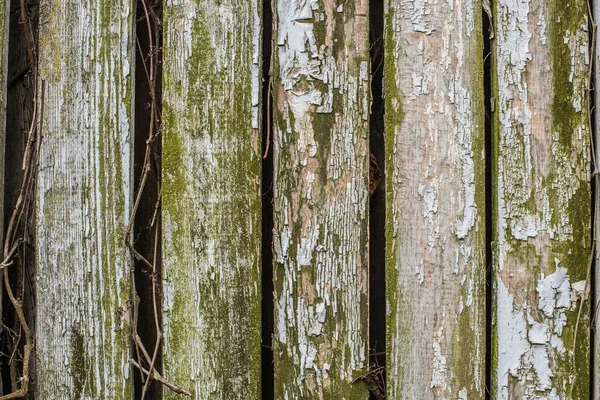 회색으로 된 오래 된 나무 울타리 패널을 클로즈업 한 모습 — 스톡 사진