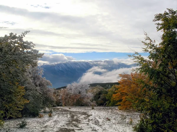 Güzel sonbahar manzara parlak ağaçları ile ilk karla kaplı. Uzak, güçlü, dağ sırtı.