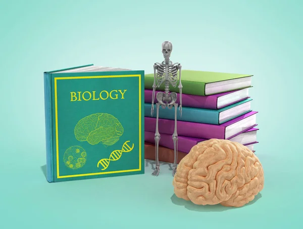 Könyvek a biológia rejlik egy halom őket és a csontváz és — Stock Fotó