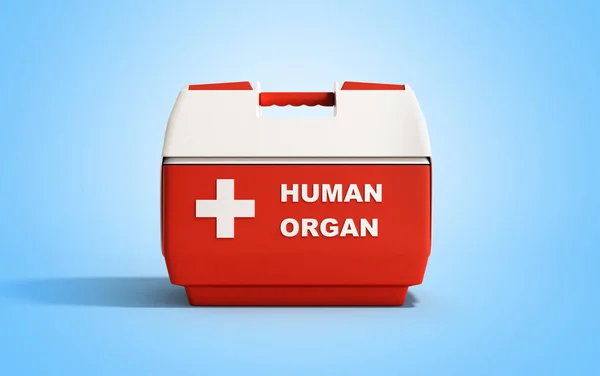 Stängda mänskliga organ kylskåp box röd 3d render på blå bakgr — Stockfoto