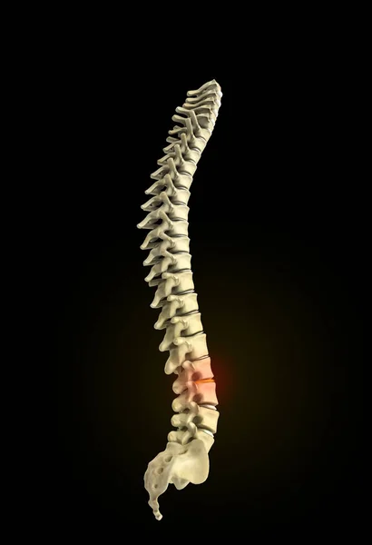 Rendering della colonna vertebrale umana 3d su sfondo nero — Foto Stock
