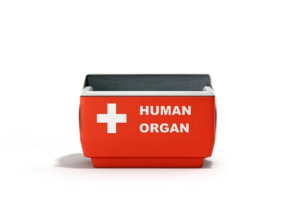 Öppna mänskliga organ kylskåp box röd 3d render på vit — Stockfoto