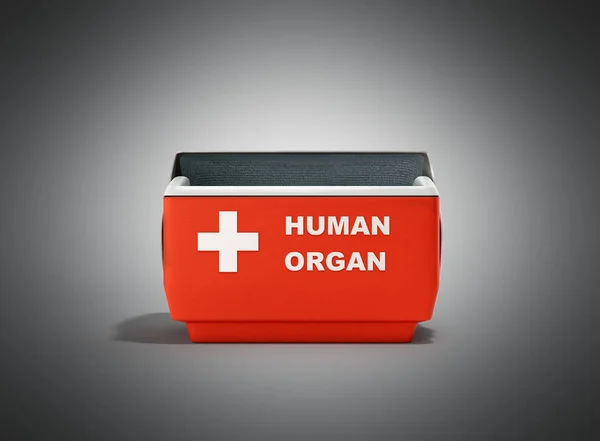 Öppna mänskliga organ kylskåp box röd 3d render på grå — Stockfoto