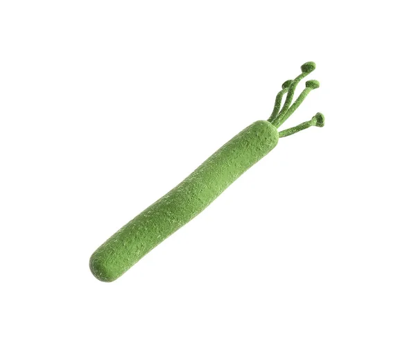 Helicobacter pylori 3d render imagen en blanco — Foto de Stock