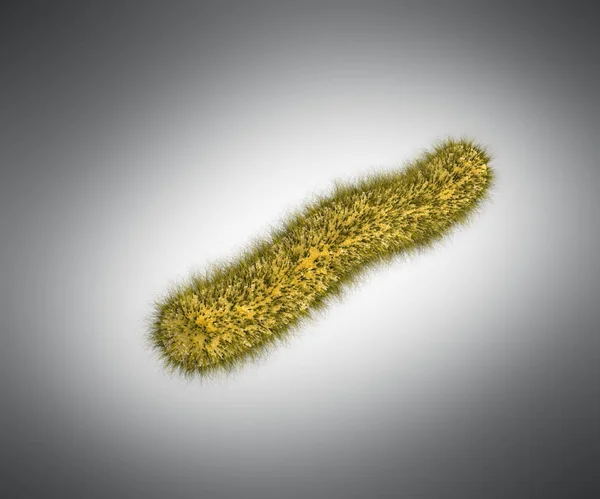 Λεπτομερείς 3d ιατρική απεικόνιση των virusesm βακτηρίων σε γκρι ΒΑ — Φωτογραφία Αρχείου