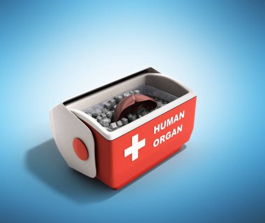 organ ulaşım kavramı açık insan organ buzdolabı kutusu r