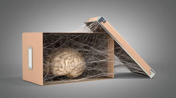Koncepcja Opuszczonego Umysłu Lub Degradacji Mózgu Kartonowym Pudełku Jest Pokryta — Zdjęcie stockowe