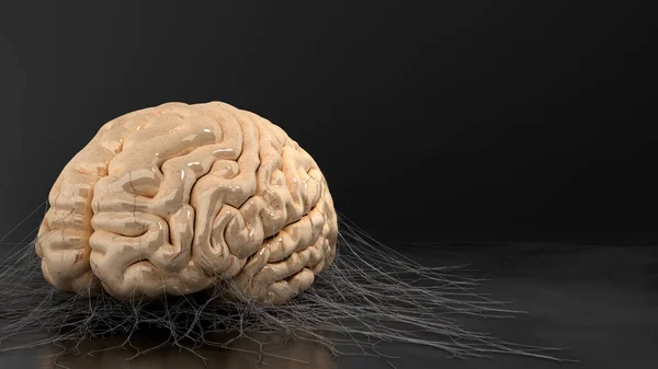 Concept Abandoned Mind Degradation Mind Brain Flor Covered Cobwebs Render — Stock Photo, Image