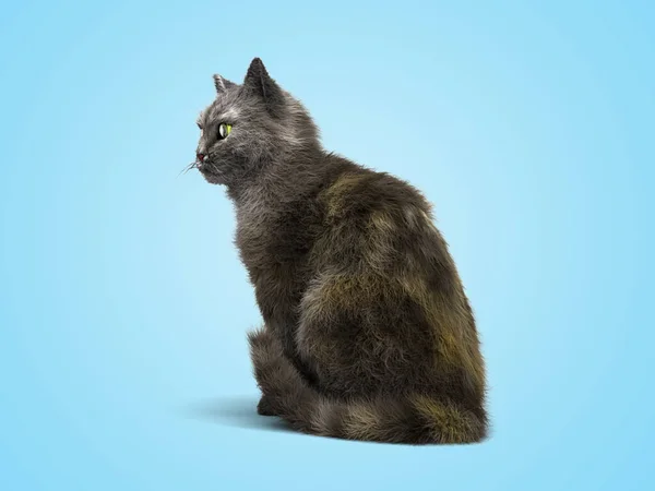 Grå Katt Sitter Render Blå Lutning Bakgrund — Stockfoto