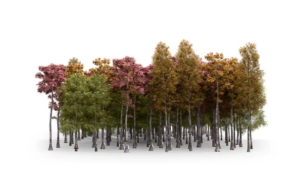 Зелені Дерева Ізольовані Білому Тлі Ліс Листя Восени Візуалізація Білому — стокове фото