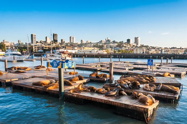 Famoso cais 39 no Fishermans Wharf em São Francisco — Fotografia de Stock