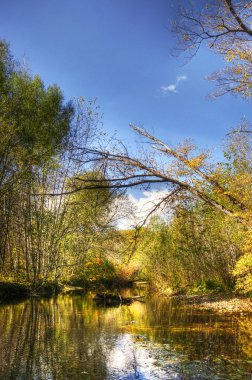 sonbaharda akan nehir