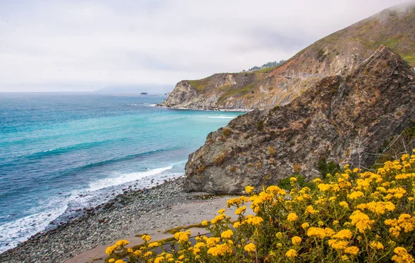 Hermosa vista de la costa de California a lo largo de State Road 1 . — Foto de Stock