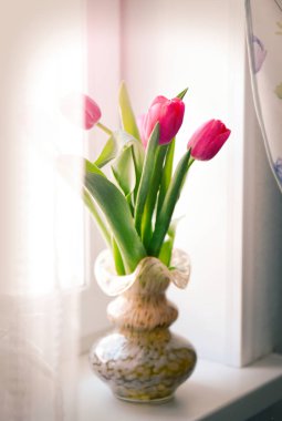 Güzel lale demet bahar doğa ile pencere, cam vazoda