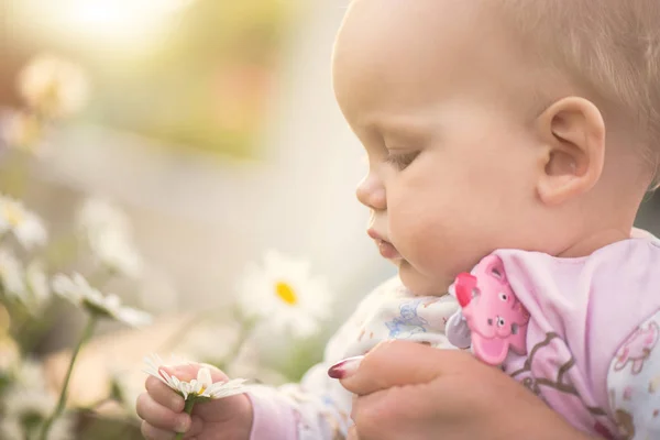 Liten flicka som håller en daisy i hennes hand — Stockfoto