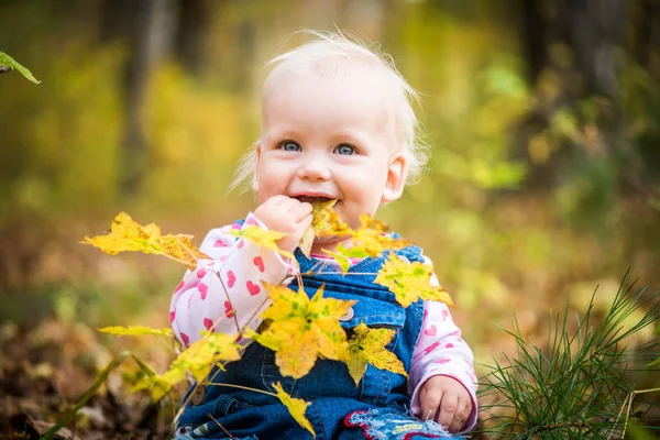 Happy baby girl laughing and playing in the autumn on the forest — Stock Photo, Image