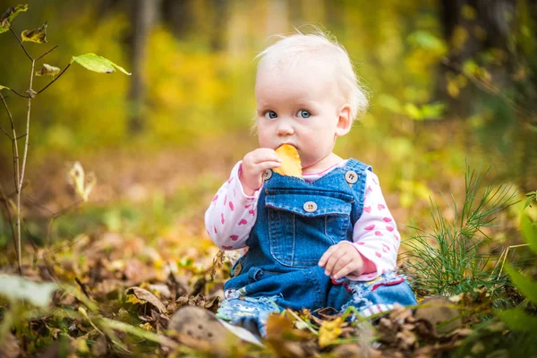 Glad flicka skratta och spela i höst på skogen — Stockfoto