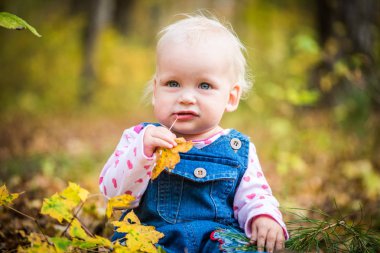 gülüyor ve sonbaharda ormanın üzerinde oynarken mutlu bebek kız