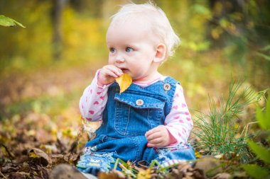 gülüyor ve sonbaharda ormanın üzerinde oynarken mutlu bebek kız