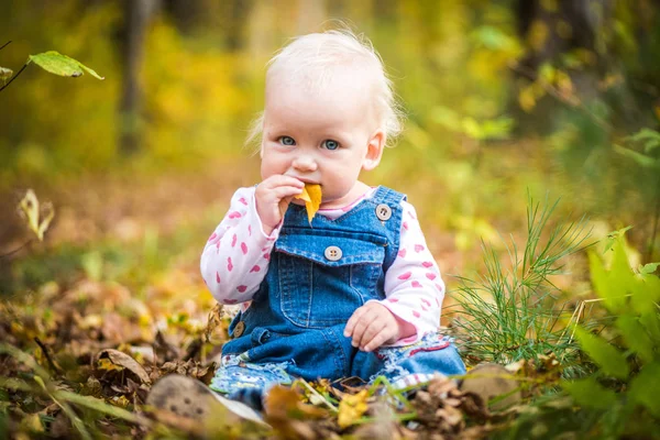 Niña feliz riendo y jugando en el otoño en el bosque —  Fotos de Stock