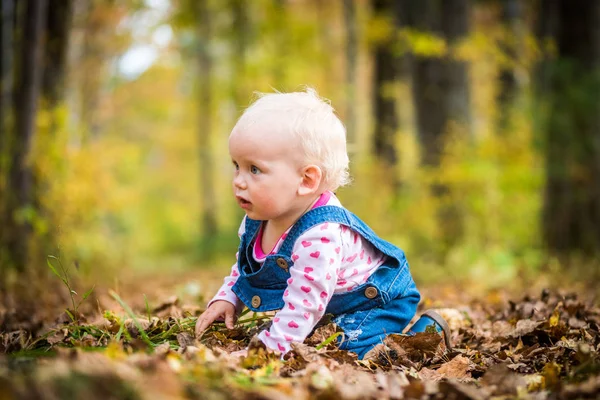 Happy baby girl smát a hrát na podzim v lese — Stock fotografie