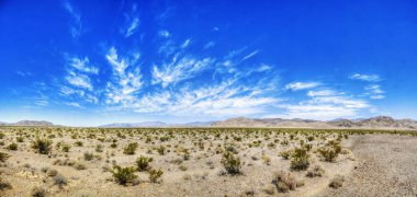 Nevada Çölü Güzellik
