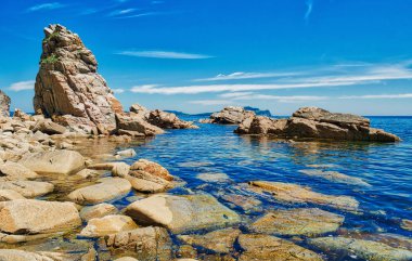 Pasifik Okyanusu kıyısı