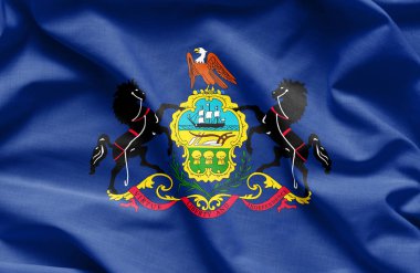 Pennsylvania bayrak - ABD bayrakları kumaş dokusu