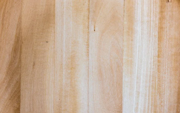 Taiga bétula madeira grão textura padrão fundo — Fotografia de Stock