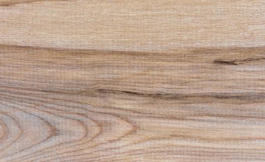 Doğal Tayga huş ağacı ahşap tahıl doku desen arka plan