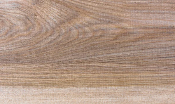 Natural Taiga bétula madeira grão textura padrão fundo — Fotografia de Stock