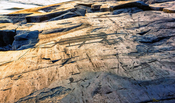 Fragment Of Onega Petroglyphs On The Cape Besov Nos