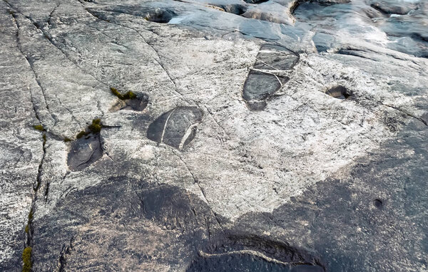 Petroglyphs On The Granite Coast