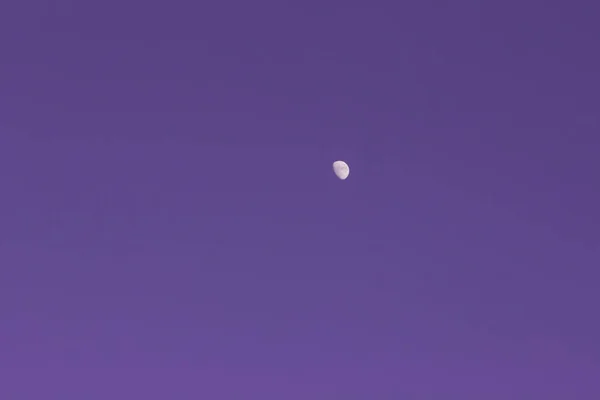 紫の雲一つない空に月 — ストック写真