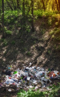 Garbage in the Forest - Environmental Pollution