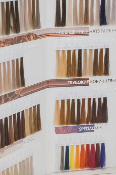 不同颜色及品质的头发的专业美发师培训资料 — 图库照片