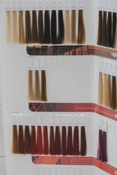不同颜色及品质的头发的专业美发师培训资料 — 图库照片