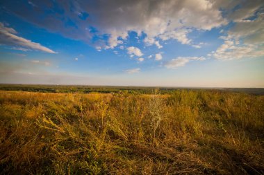 Büyük çayırları, mavi gökyüzü ve açık alanı olan yaz manzarası