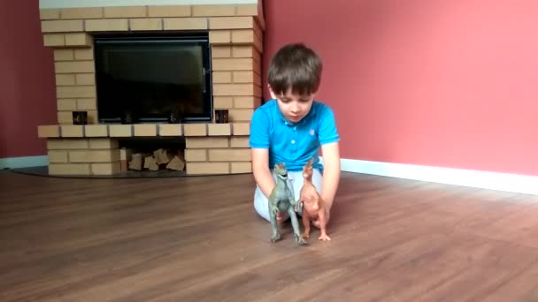 小さな男の子遊びます家でおもちゃの恐竜と床に — ストック動画