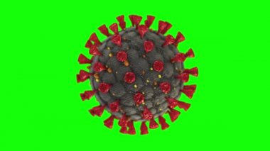 Coronavirus Covid-19 Hücre Virüsü salgını tıbbi animasyon. Hanta virüsü yeşil arka plan. Krom Anahtar. Şeffaf arkaplan. Luma Matte. Alfa Kanalı