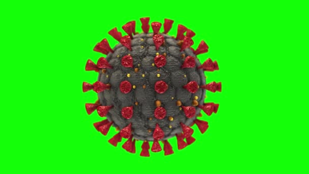 Коронавирус Covid Cell Вспышка Медицинская Анимация Hantavirus Зеленый Фон Ключ — стоковое видео