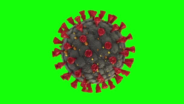 Wirus Coronavirus Wirus Covid Ognisko Animacji Medycznej Hantavirus Zielone Tło — Wideo stockowe