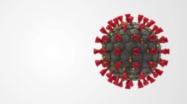 Coronavirus Covid 19 Hücre Hanta Virüsü Virüsü Tıbbi Animasyon