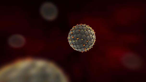 Hantavirus Animacja Medyczna Wirus Komórkowy Ognisko Animacji Medycznej Ortohantawirus Niebezpieczny — Wideo stockowe