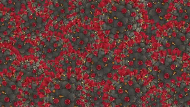 コロナウイルスCovid19細胞ウイルス感染医学アニメーション 危険なインフルエンザ警報 背景緑の背景 — ストック動画